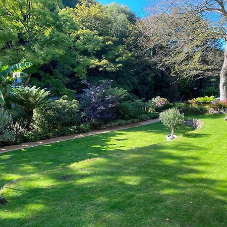 Tropical Gardens 1 Bed Cottage Central Newlyn Eksteriør billede